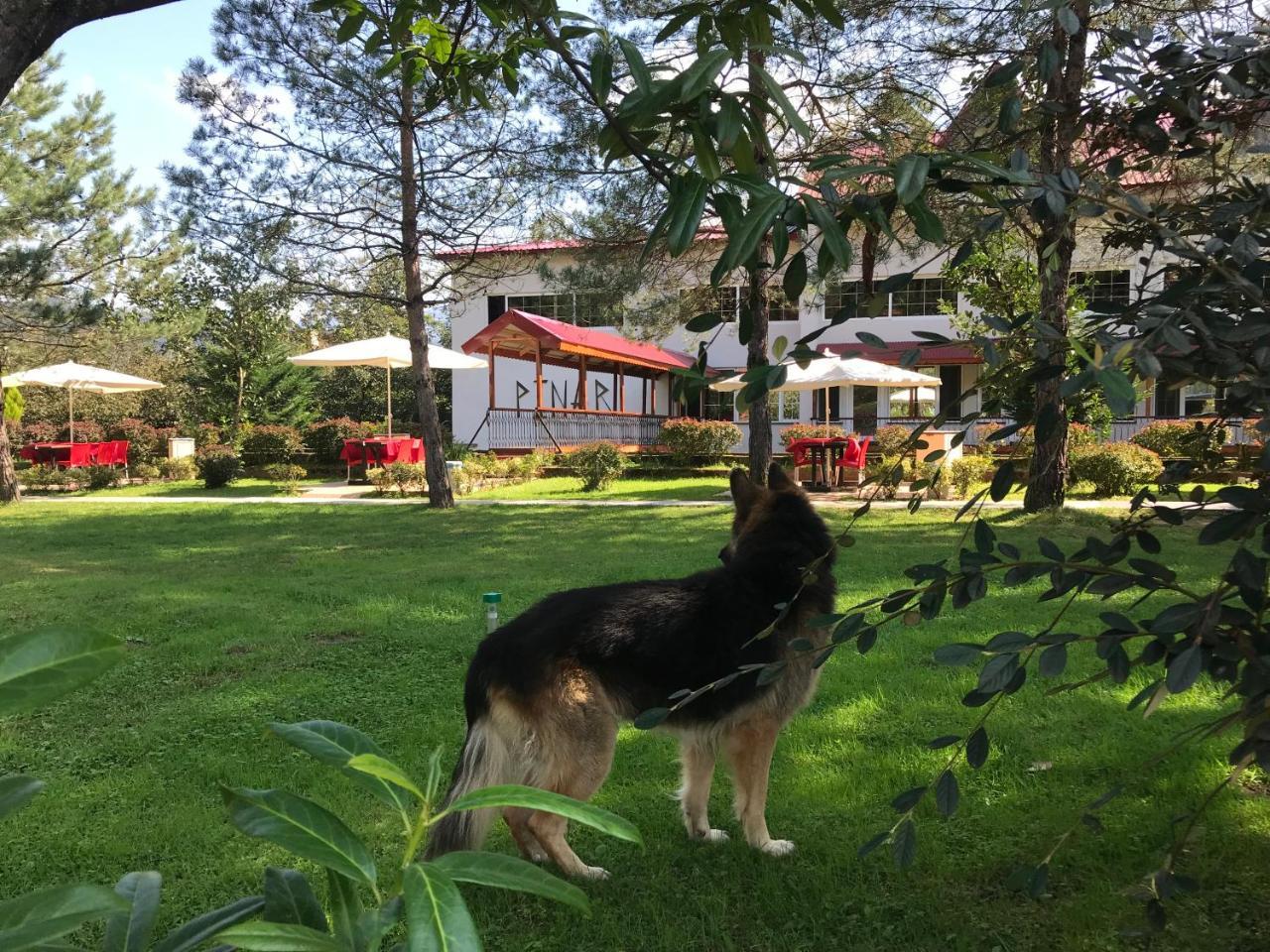Pinar Kir Evi Guest House Artvin Exterior photo